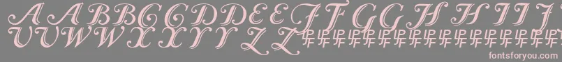 Czcionka Caslon Calligraphic – różowe czcionki na szarym tle