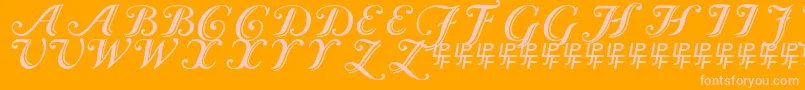 Fonte Caslon Calligraphic – fontes rosa em um fundo laranja