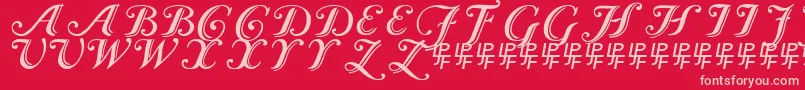 Fonte Caslon Calligraphic – fontes rosa em um fundo vermelho