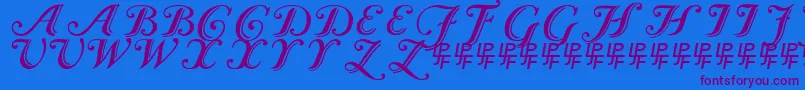 Czcionka Caslon Calligraphic – fioletowe czcionki na niebieskim tle