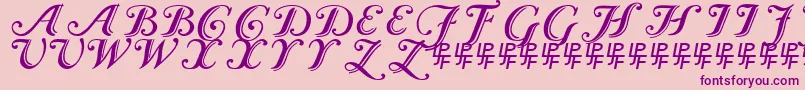 Caslon Calligraphic-Schriftart – Violette Schriften auf rosa Hintergrund