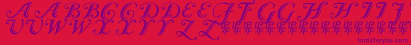 Caslon Calligraphic-Schriftart – Violette Schriften auf rotem Hintergrund