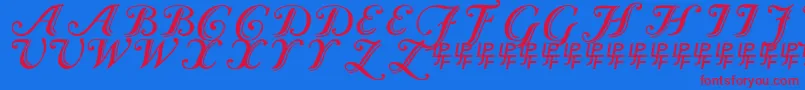 Caslon Calligraphic-Schriftart – Rote Schriften auf blauem Hintergrund