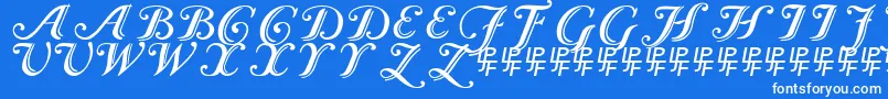 fuente Caslon Calligraphic – Fuentes Blancas Sobre Fondo Azul