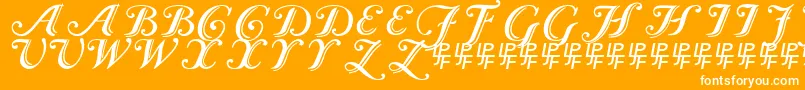 Caslon Calligraphic-fontti – valkoiset fontit oranssilla taustalla