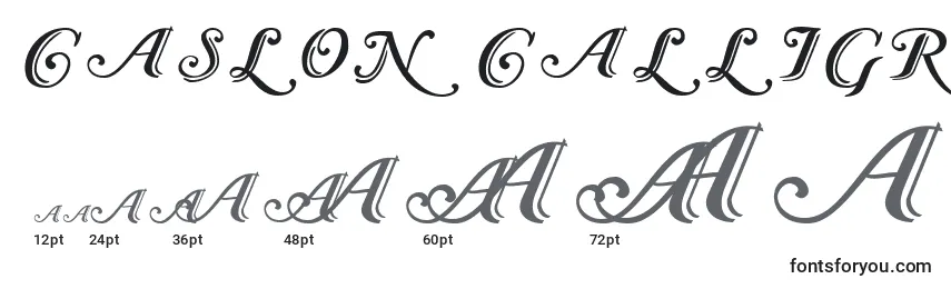 Caslon Calligraphic-fontin koot