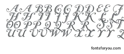 Schriftart Caslon Calligraphic