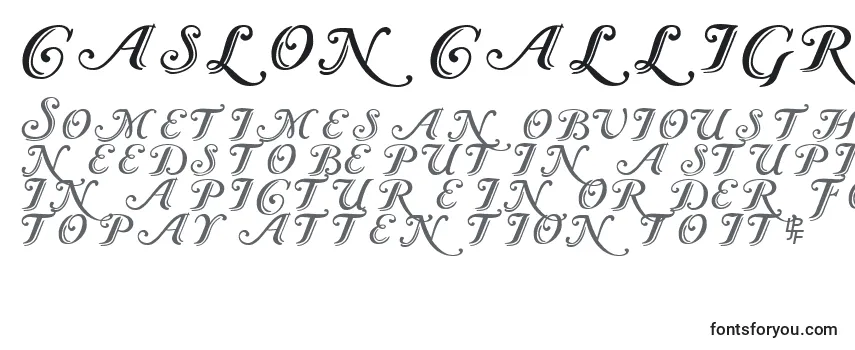 Caslon Calligraphic -fontin tarkastelu
