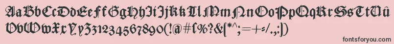 CaslonishFraxx Font – Black Fonts on Pink Background