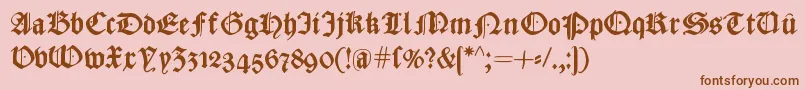 CaslonishFraxx Font – Brown Fonts on Pink Background