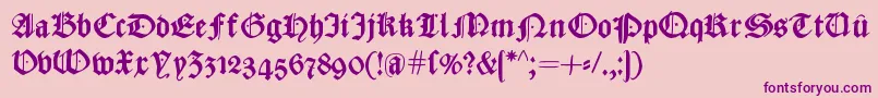 CaslonishFraxx Font – Purple Fonts on Pink Background