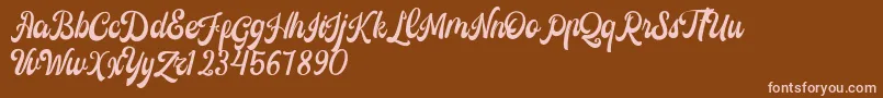 Castela Demo Font – Pink Fonts on Brown Background
