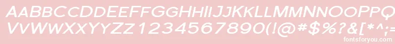 FlorencesansScExpBoldItalic Font – White Fonts on Pink Background
