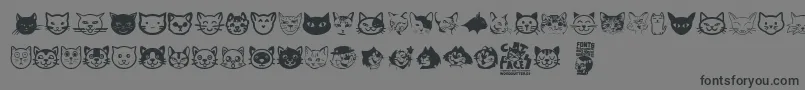 Cat Faces-Schriftart – Schwarze Schriften auf grauem Hintergrund