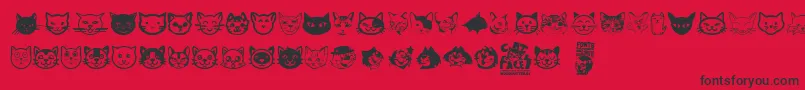 Cat Faces Font – Black Fonts on Red Background