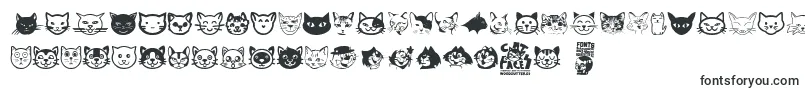 Cat Faces Font – Animal Fonts