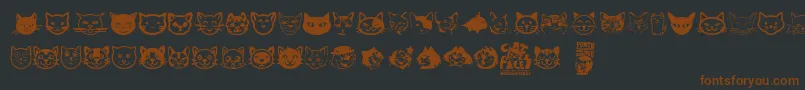 フォントCat Faces – 黒い背景に茶色のフォント