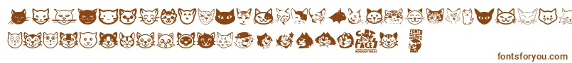 Cat Faces-Schriftart – Braune Schriften auf weißem Hintergrund