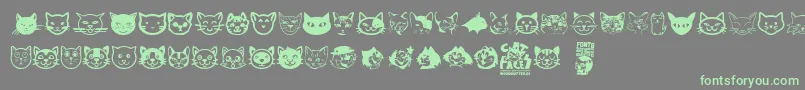 フォントCat Faces – 灰色の背景に緑のフォント