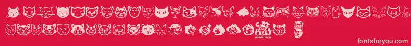 Cat Faces-Schriftart – Rosa Schriften auf rotem Hintergrund