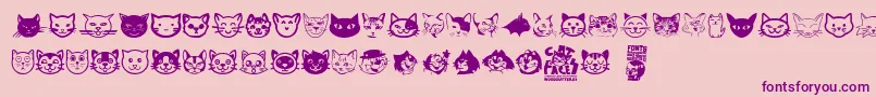 Police Cat Faces – polices violettes sur fond rose