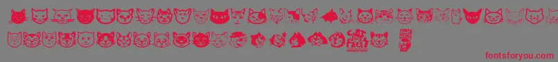 Cat Faces-Schriftart – Rote Schriften auf grauem Hintergrund