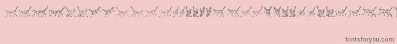 Cat3D Font – Gray Fonts on Pink Background