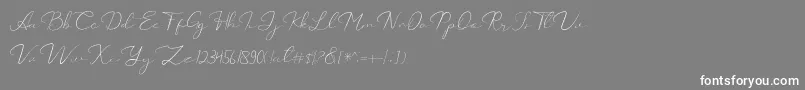 フォントCatalan Signature – 灰色の背景に白い文字