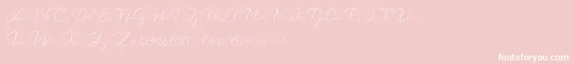 Catalan Signature-Schriftart – Weiße Schriften auf rosa Hintergrund