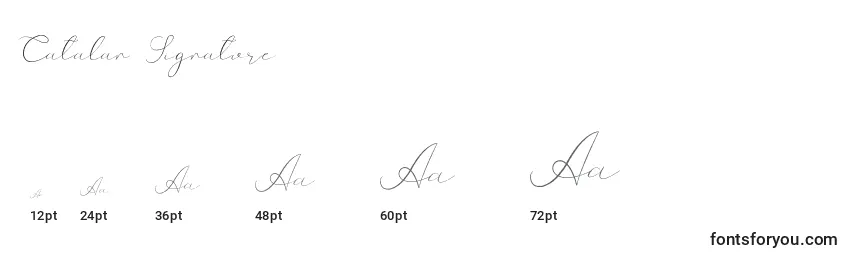 Catalan Signature Font Sizes