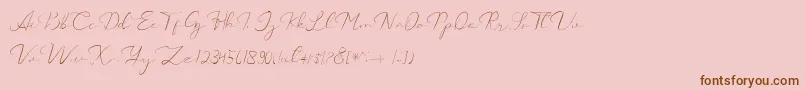 Catalan Signature Font – Brown Fonts on Pink Background