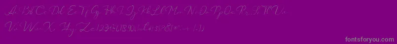 Шрифт Catalan Signature – серые шрифты на фиолетовом фоне