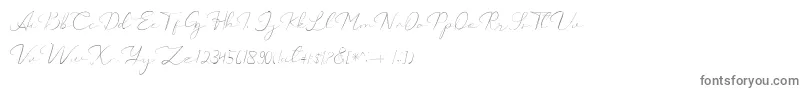 Czcionka Catalan Signature – szare czcionki