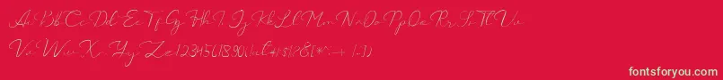 fuente Catalan Signature – Fuentes Verdes Sobre Fondo Rojo