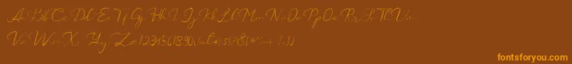 Catalan Signature Font – Orange Fonts on Brown Background