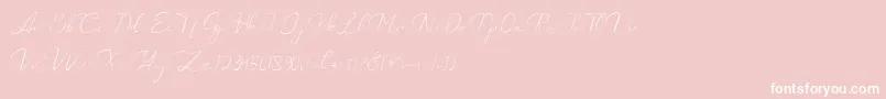 Catalan Signature Font – White Fonts on Pink Background