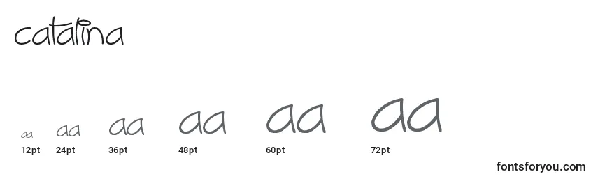 Размеры шрифта Catalina (122973)