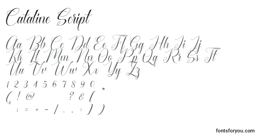 Cataline Script-fontti – aakkoset, numerot, erikoismerkit