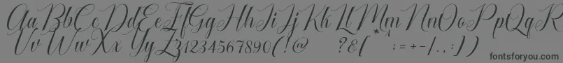 Cataline Script-fontti – mustat fontit harmaalla taustalla