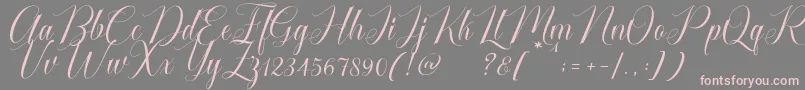 Cataline Script Font – Pink Fonts on Gray Background