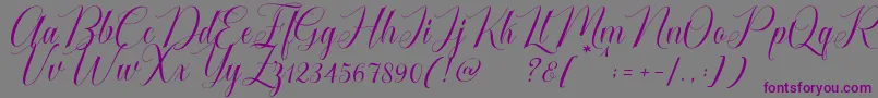 Cataline Script-fontti – violetit fontit harmaalla taustalla