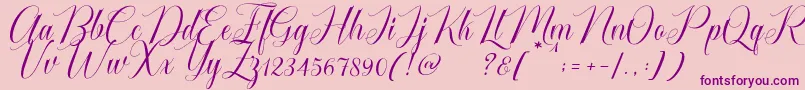 Police Cataline Script – polices violettes sur fond rose