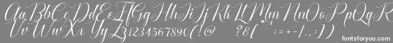 fuente Cataline Script – Fuentes Blancas Sobre Fondo Gris