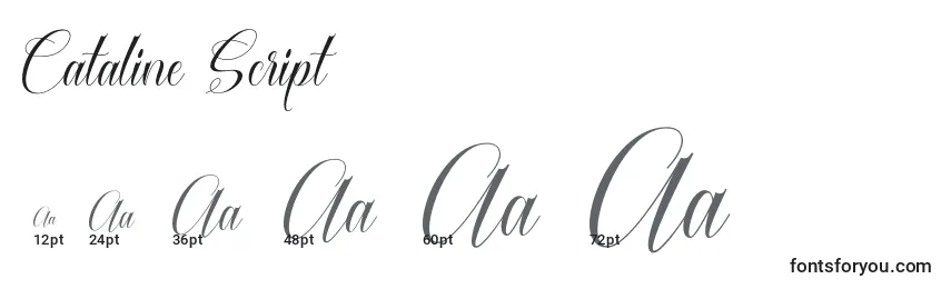 Cataline Script Font Sizes