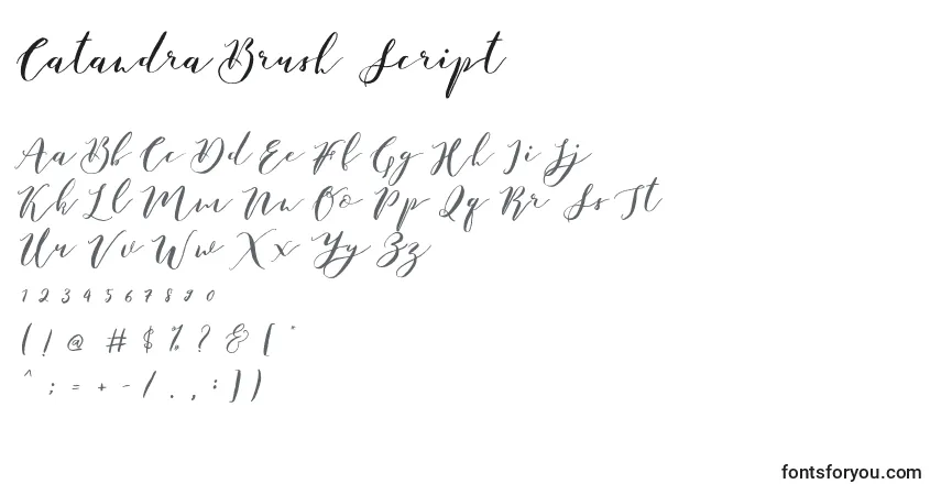 Czcionka Catandra Brush Script – alfabet, cyfry, specjalne znaki