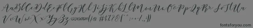 フォントCatandra Brush Script – 黒い文字の灰色の背景