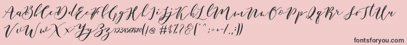 Catandra Brush Script Font – Black Fonts on Pink Background