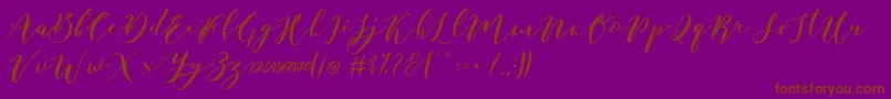 Catandra Brush Script-fontti – ruskeat fontit violetilla taustalla