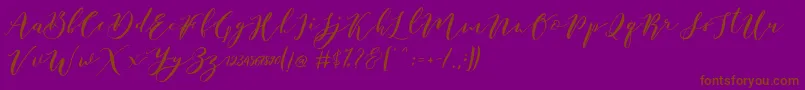 Fonte Catandra Brush Script – fontes marrons em um fundo roxo