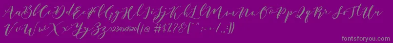 Catandra Brush Script-fontti – harmaat kirjasimet violetilla taustalla